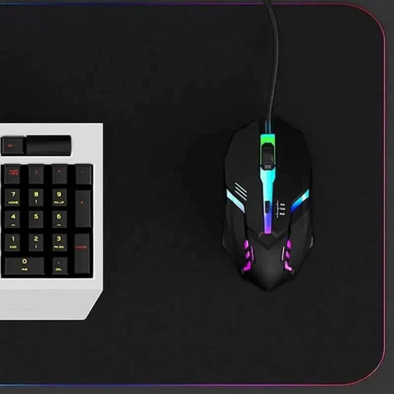 Souris Gaming Fillaire